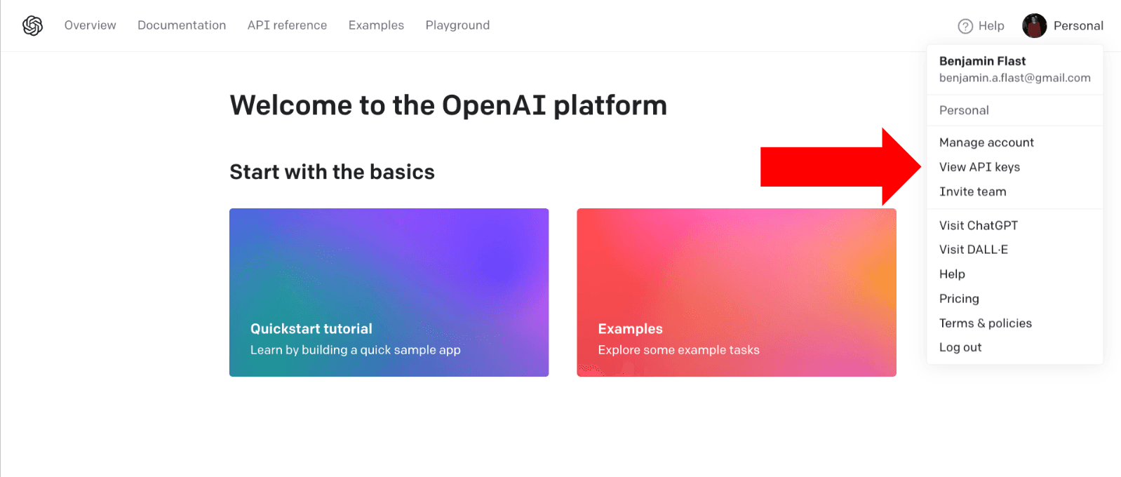 Open AI Platform Page Arrow Pointing at View API keys in Menu